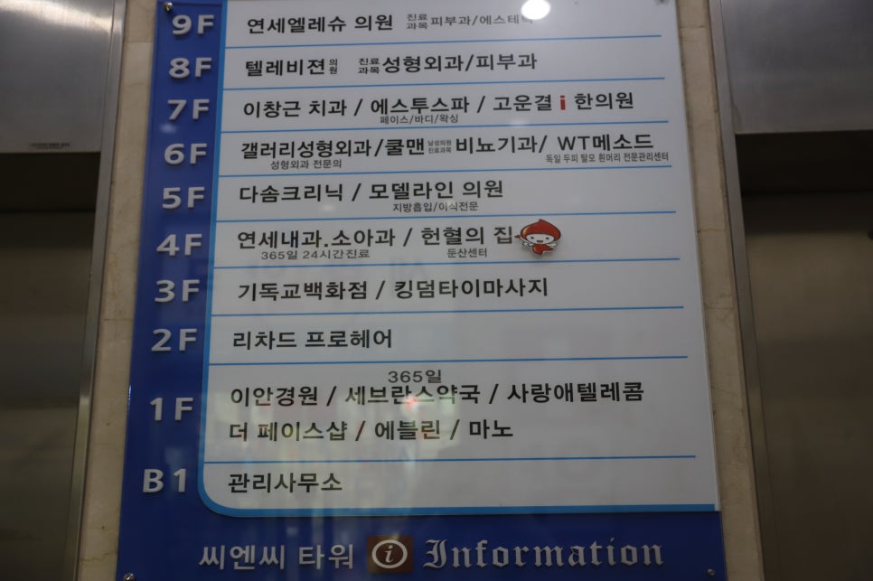 킹덤타이 이미지