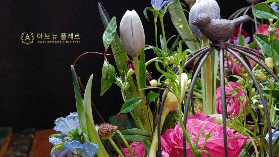 버드플레르 이미지