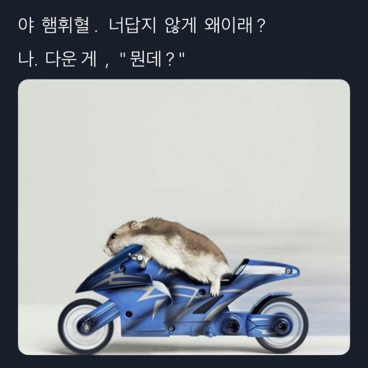 하나언니 이미지