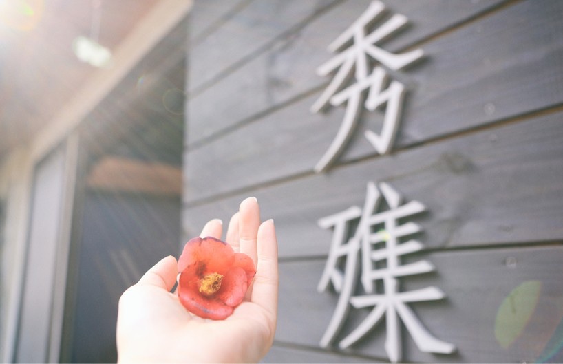 돔박;달 이미지