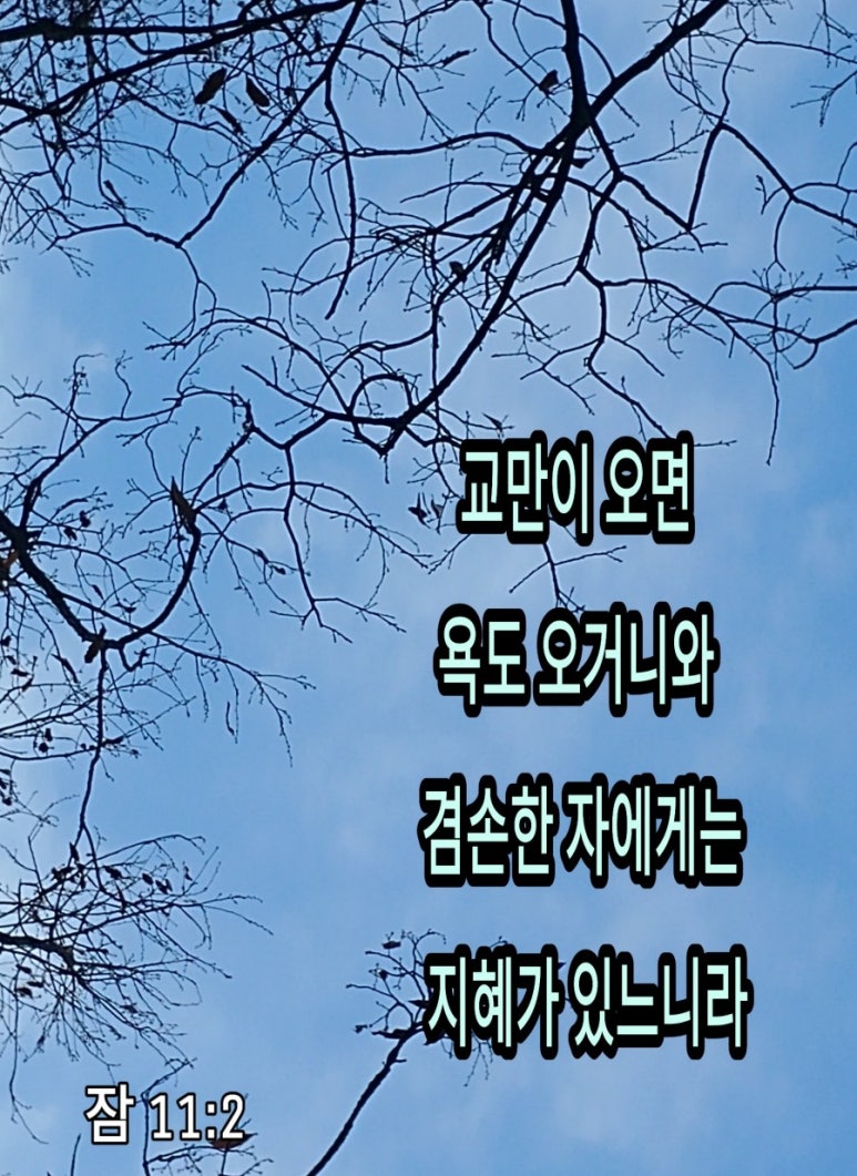 금맥을캐다 이미지