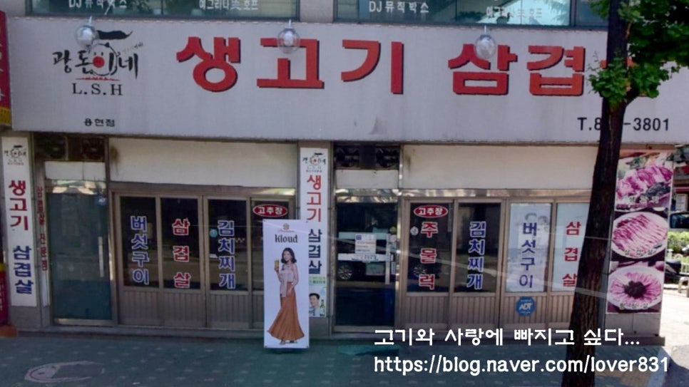 광돈이네 이미지