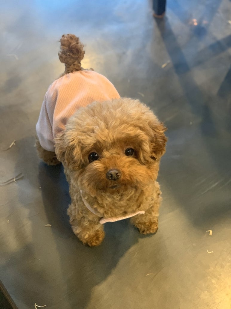 앤티앤스제주노형점 이미지
