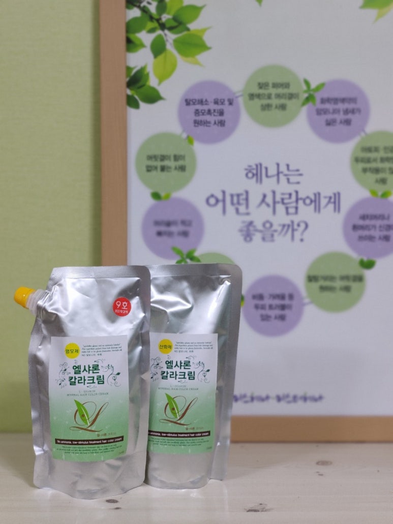 엘샤론 코리아 이미지