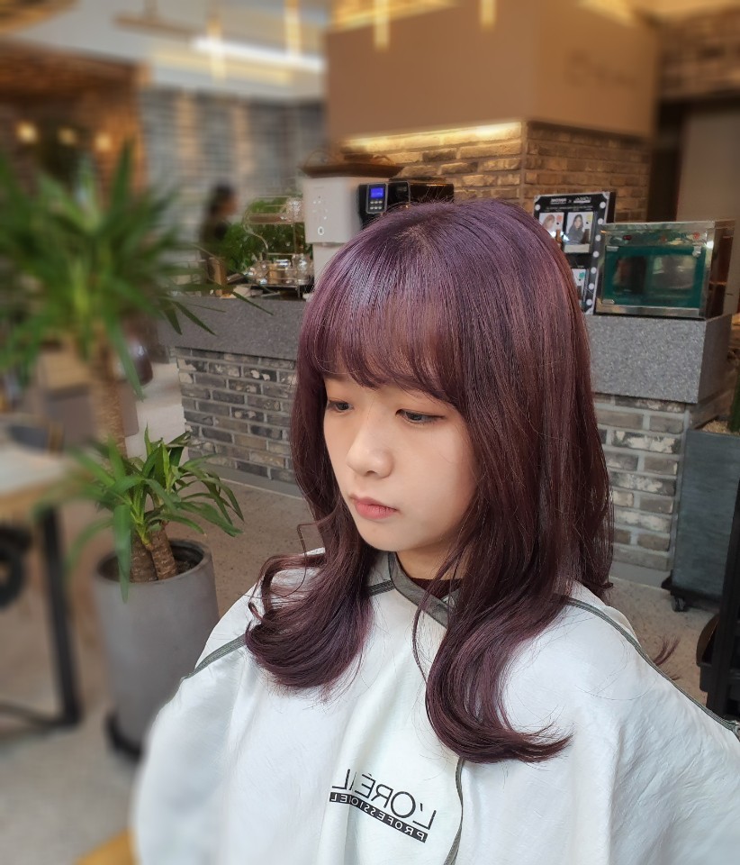 헤어포레아덴 이미지