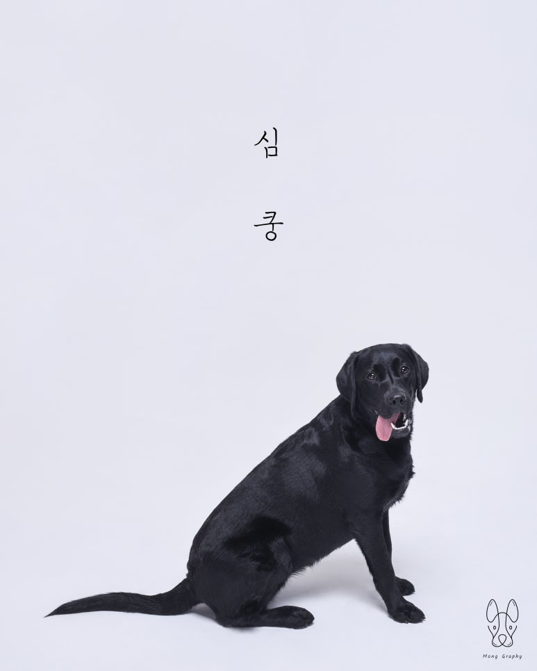 몽그라피 이미지