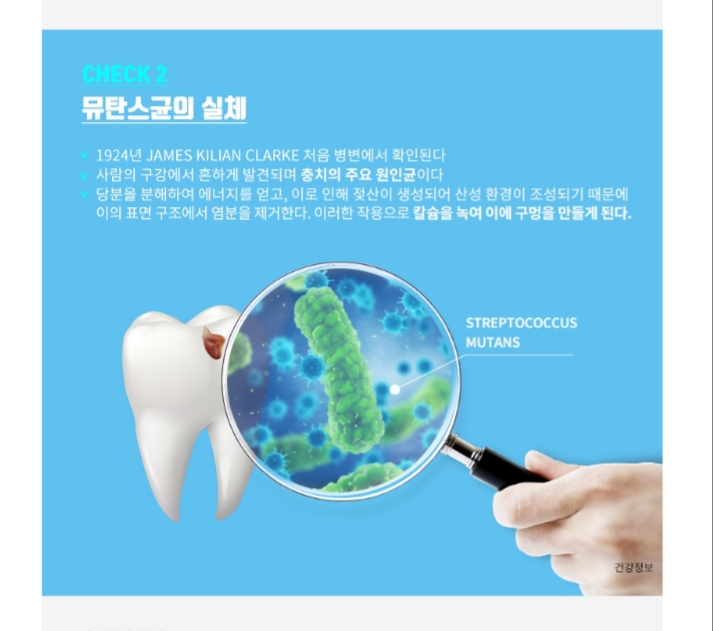 (주)월드라인 이미지