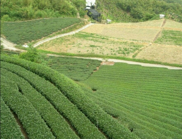 보산기술 이미지