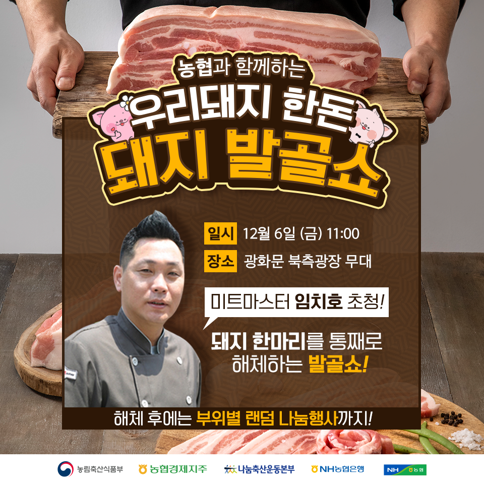 뽑기돼지 이미지
