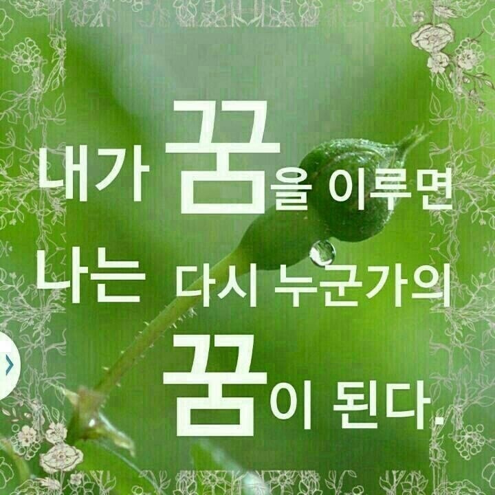 소망 인셀덤 이미지