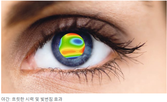현성플러스 이미지