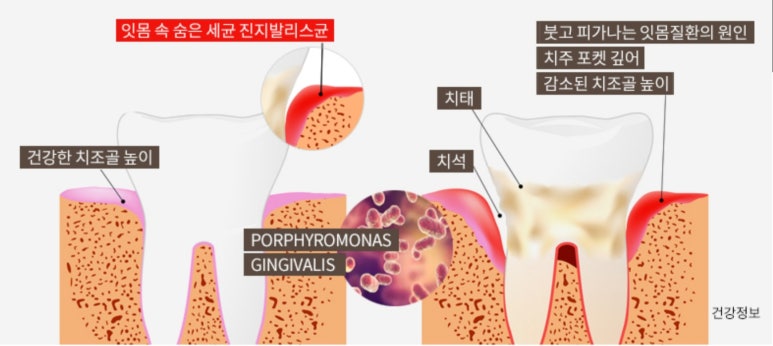 (주)월드라인 이미지
