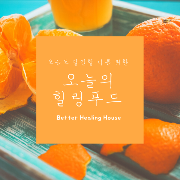 오늘의푸드 이미지