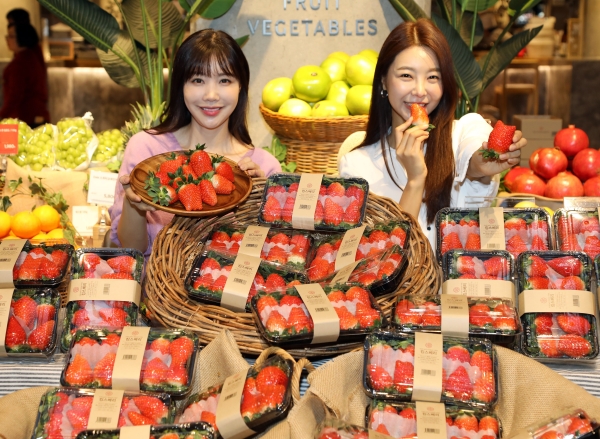 포토마켓 이미지
