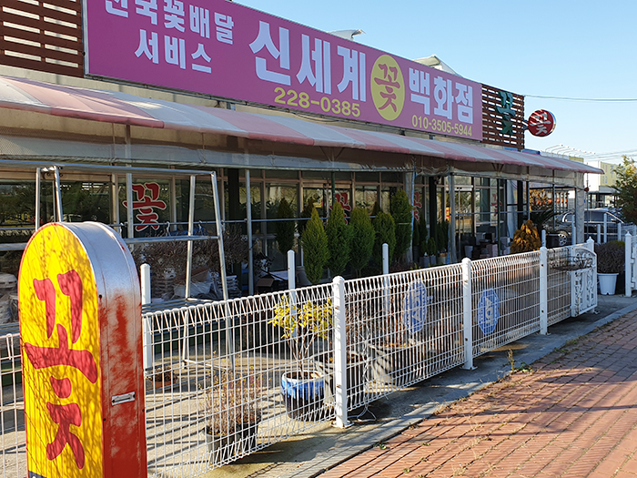 신세계꽃집 이미지