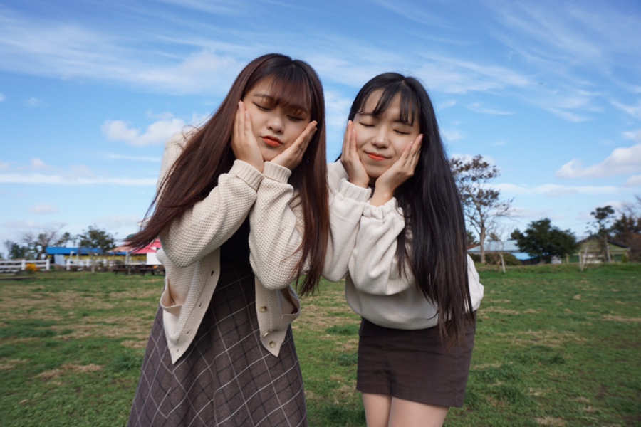 휘석지질 이미지