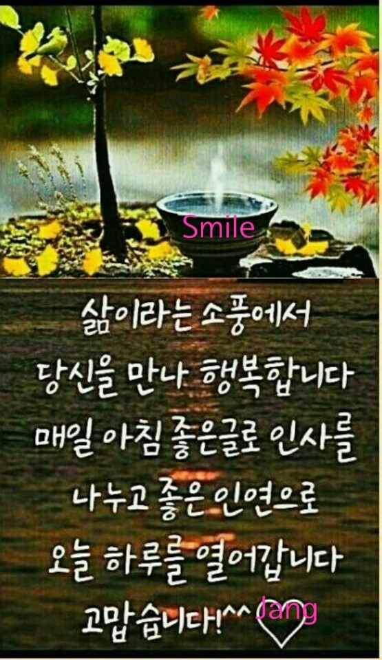 대한힐링 이미지