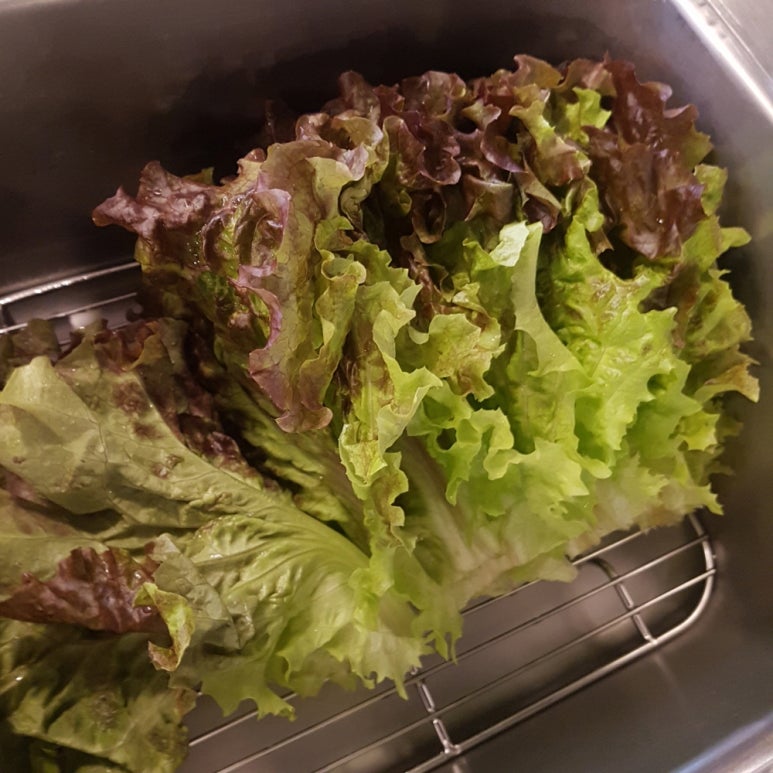 인생한우 이미지