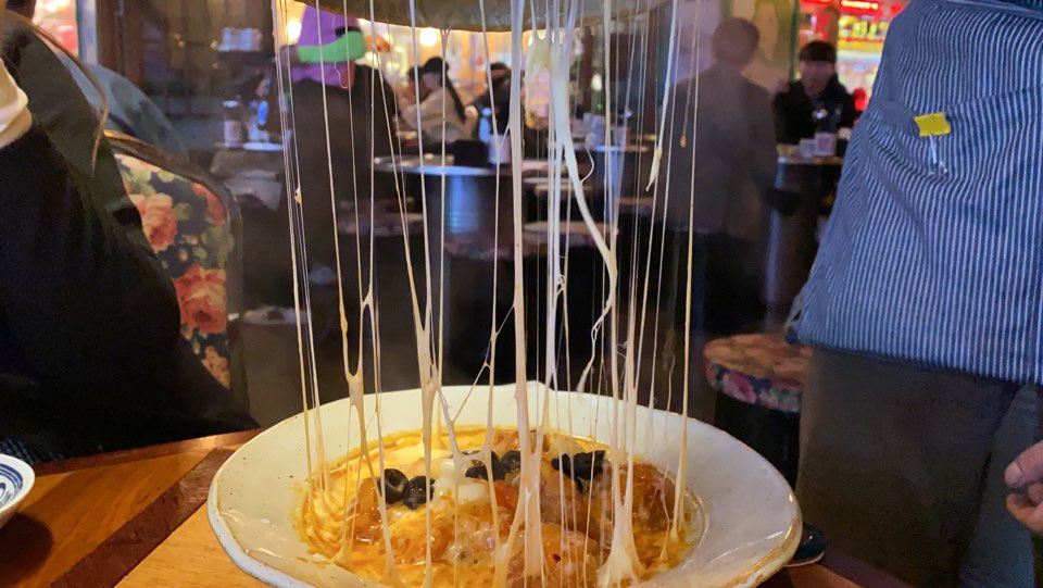 디스코포차 이미지