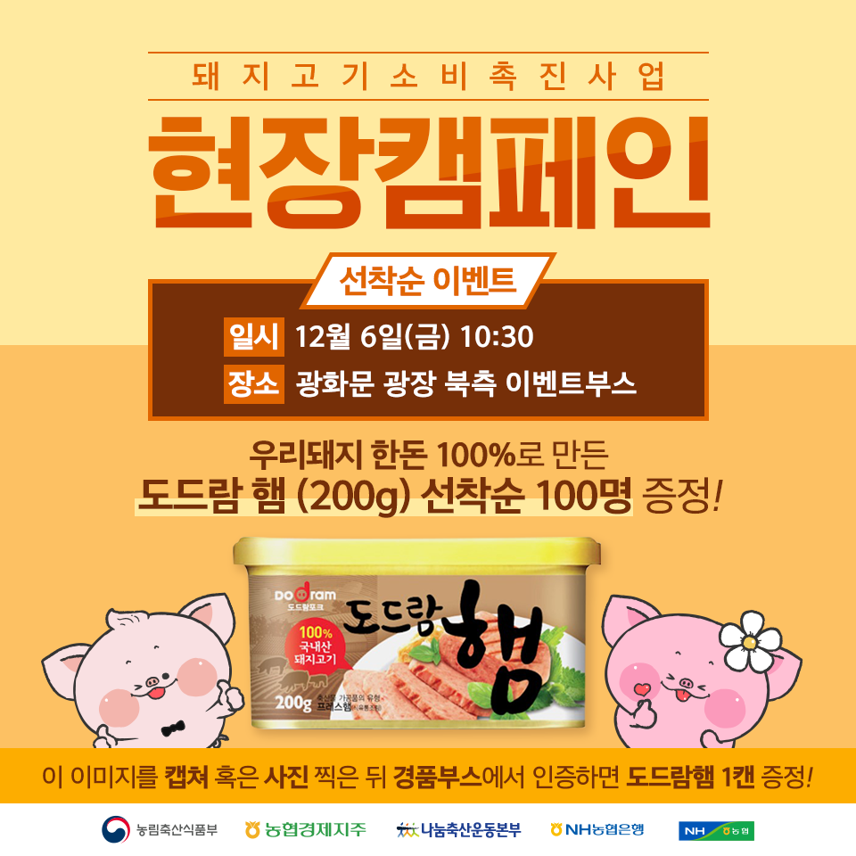 뽑기돼지 이미지