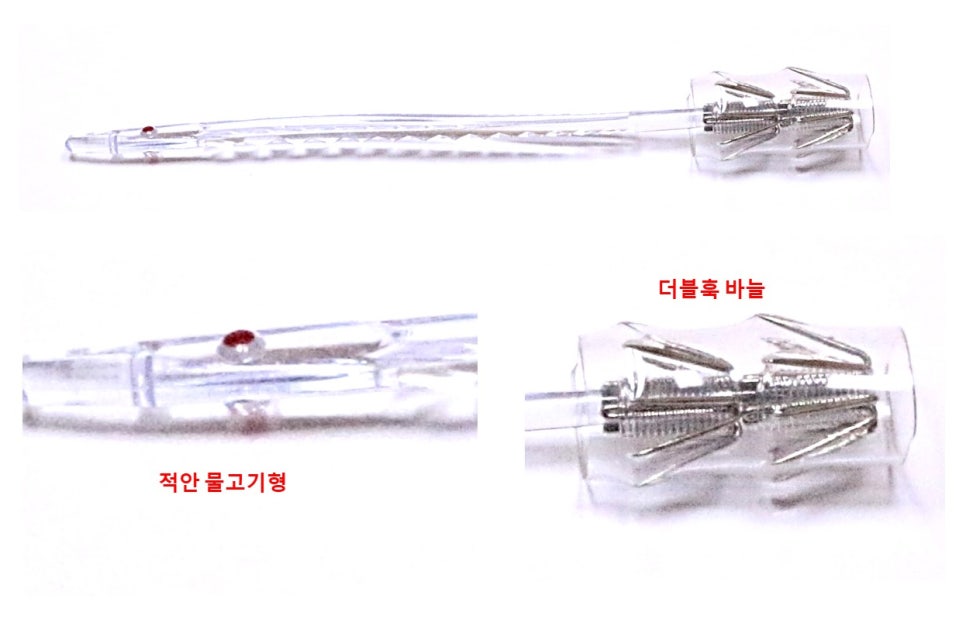 날라리물고기 이미지