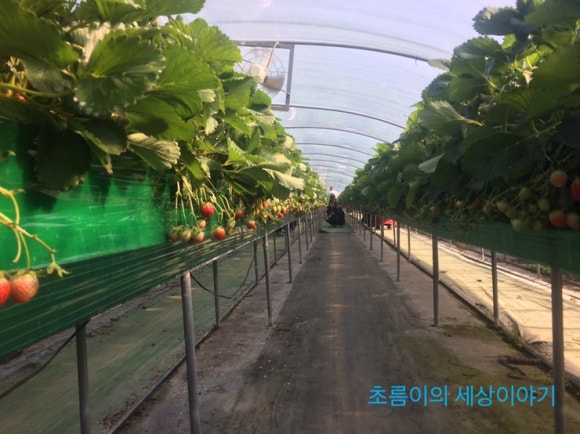 경석농장 이미지