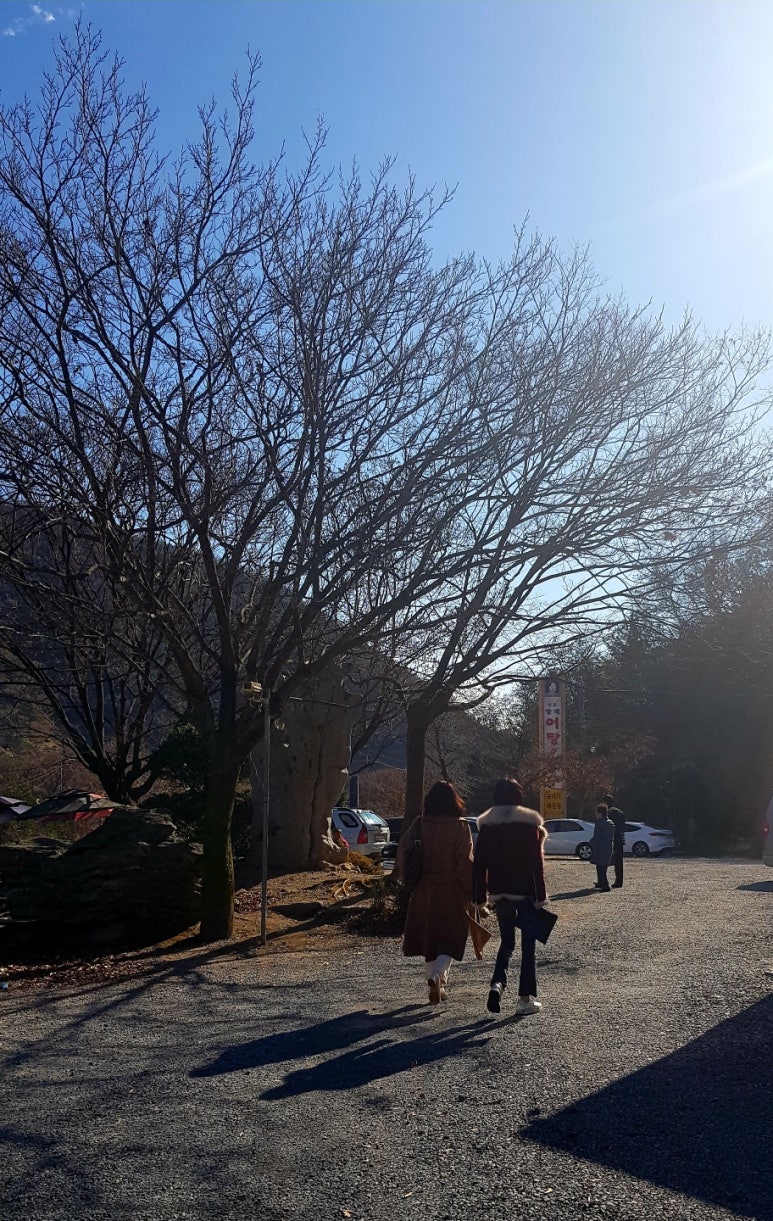 고바슨 르블랑점 이미지