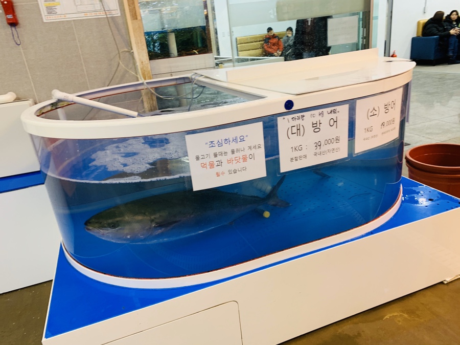세종수산 이미지