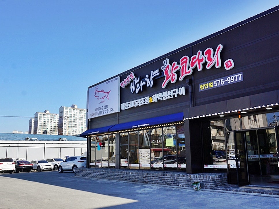 바다향왕코다리 이미지