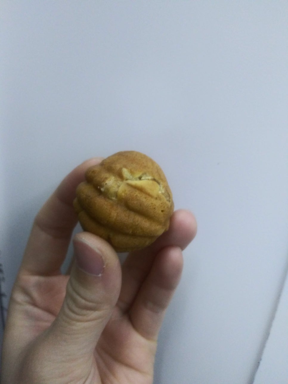 미인광장 이미지