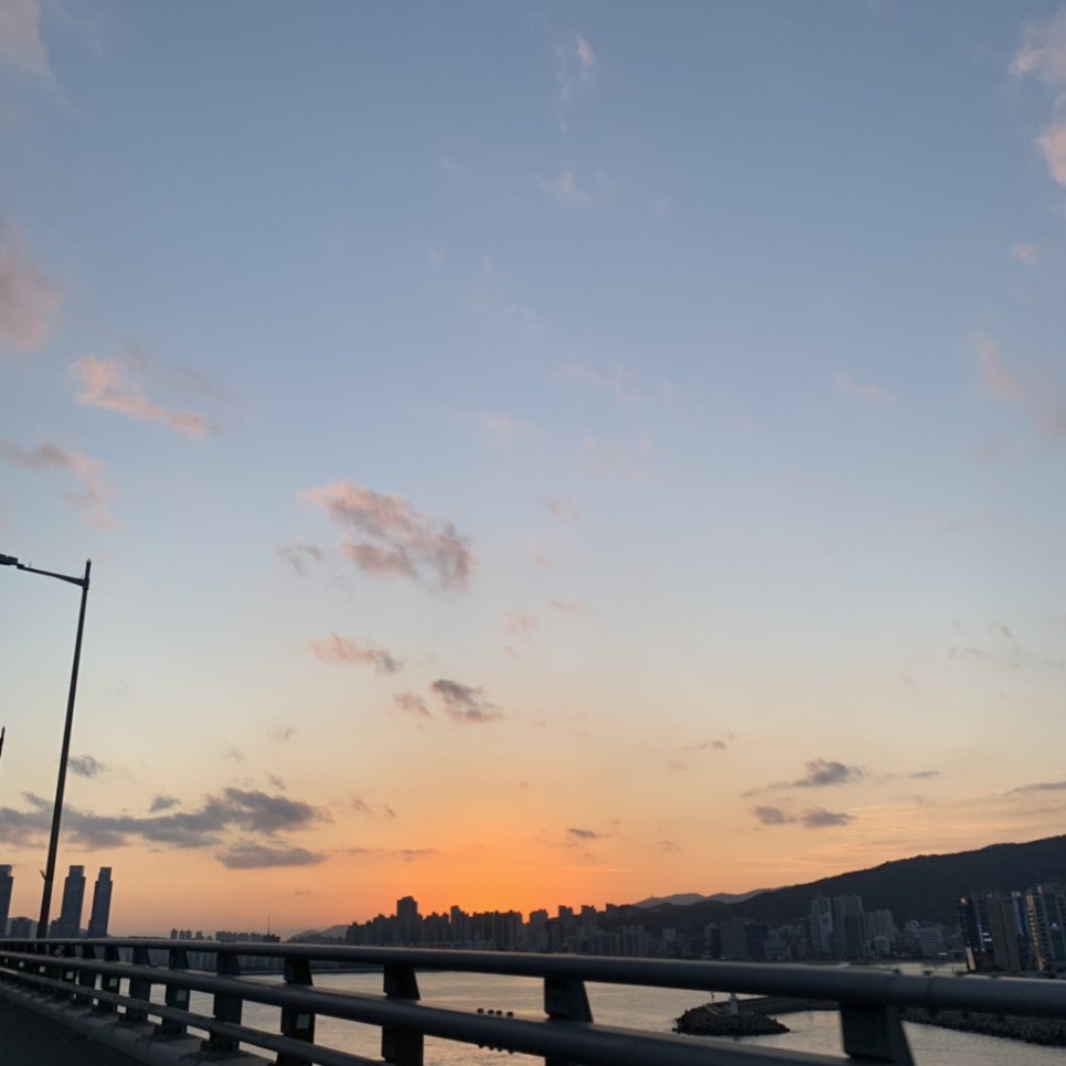 뉴부산횟집 이미지