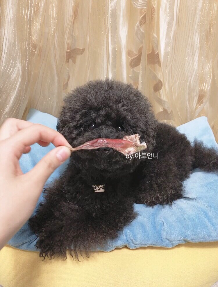 와락 이미지