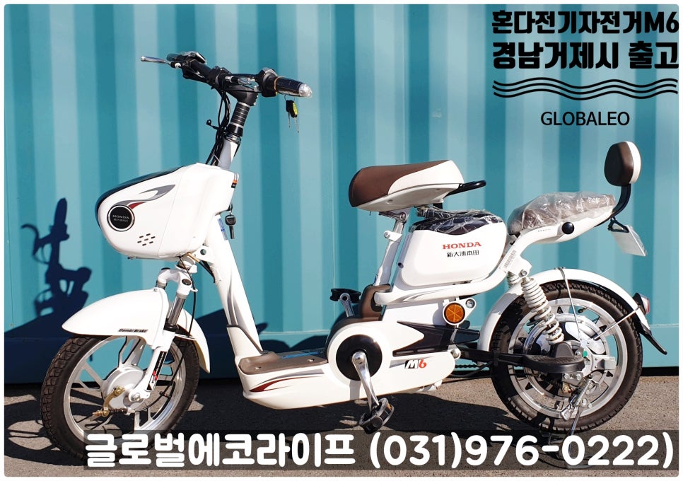 (주)테스글로벌 이미지