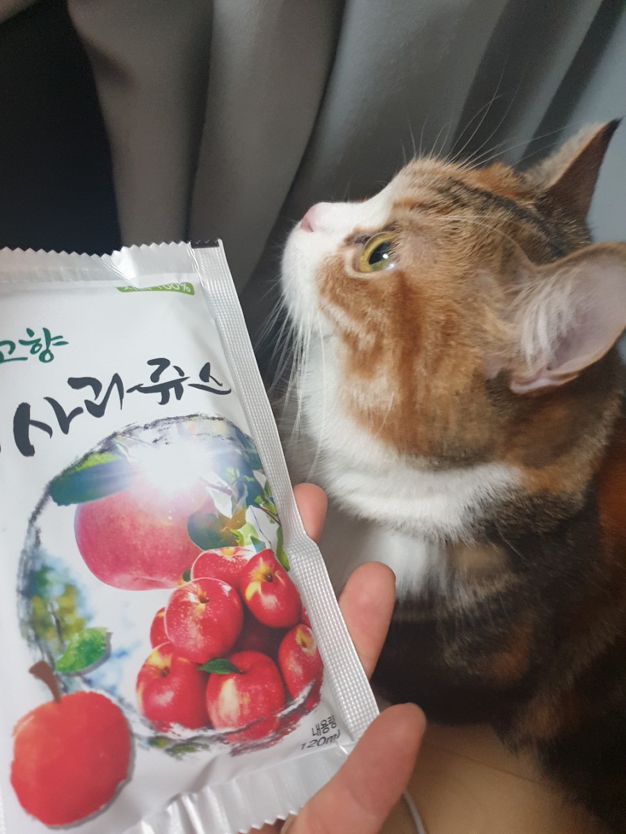내고향사과쥬스 이미지