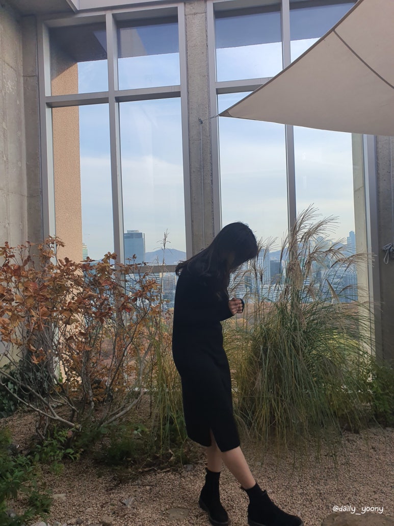 티컬렉티브 이미지