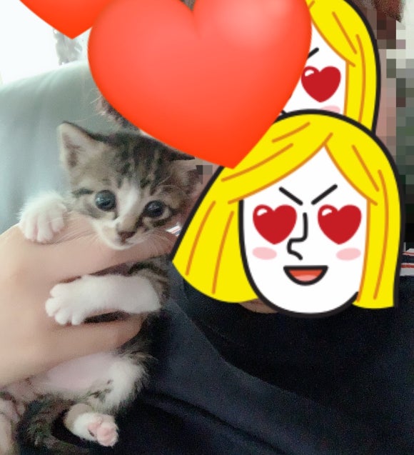 두빵 이미지