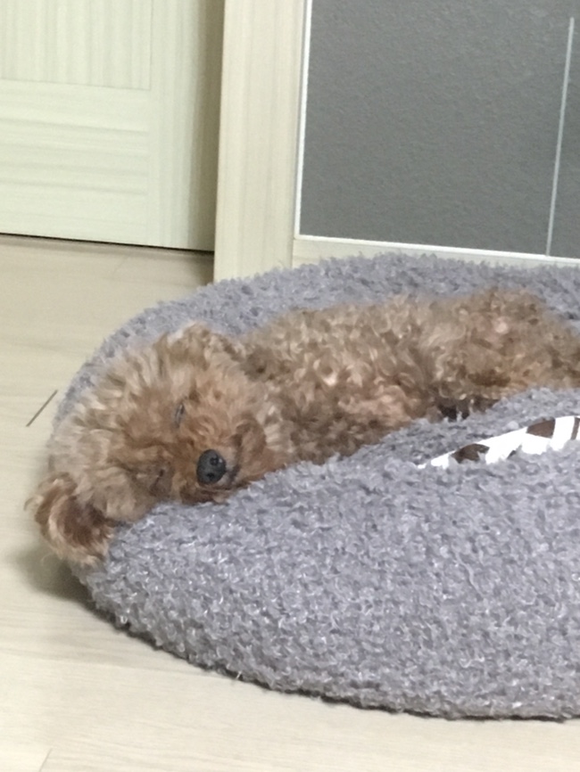평화와평화식물다방 이미지