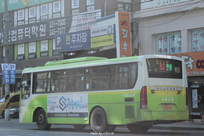 미인광장 이미지