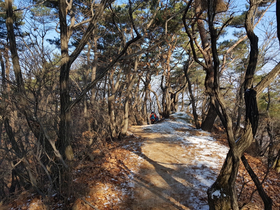 마운트립 이미지