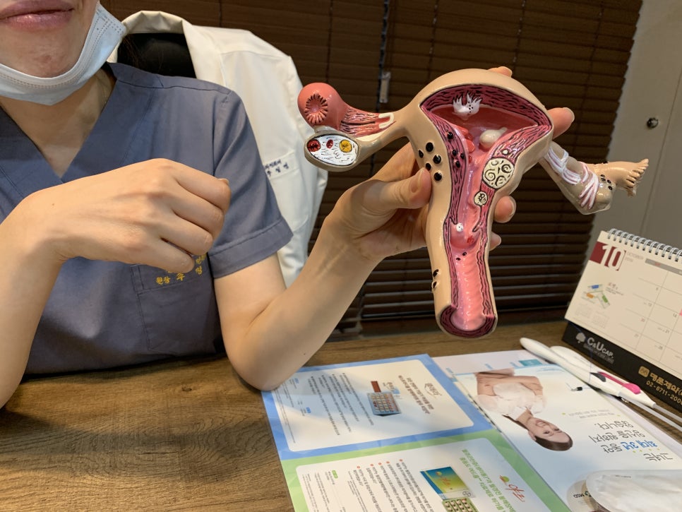 서울산부인과 이미지