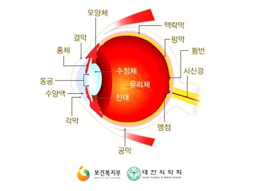 서울삼성안과 이미지