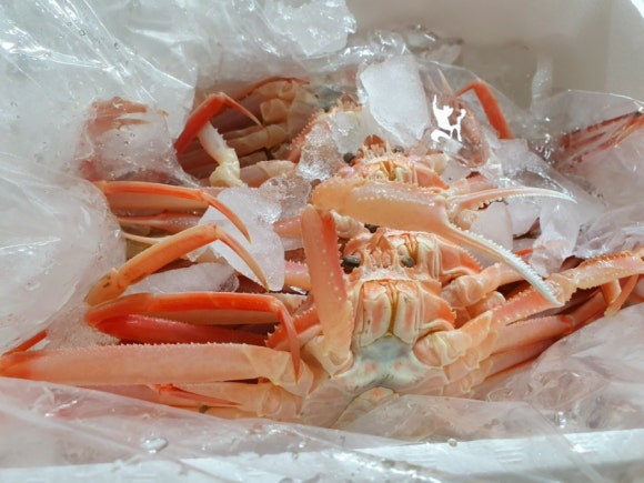 영덕대게전문점 이미지