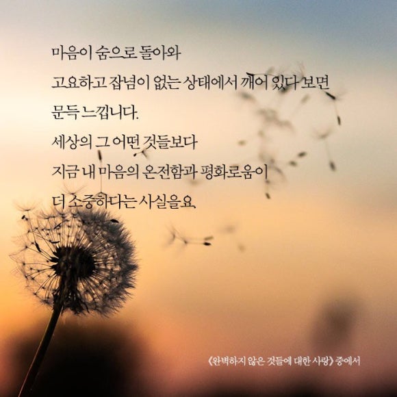 청송꽃차이야기 솔채 이미지