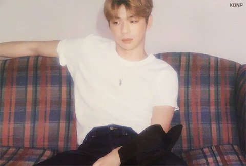 컬러온미 이미지