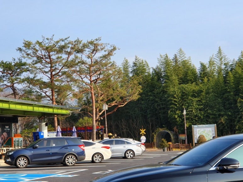 곡성청과 이미지