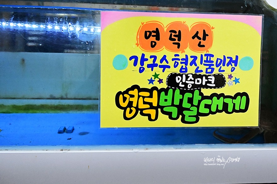 강구아이스박스 이미지
