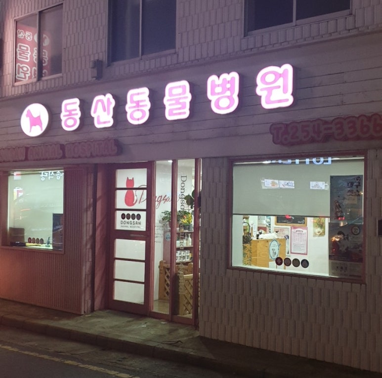 타니네일 이미지