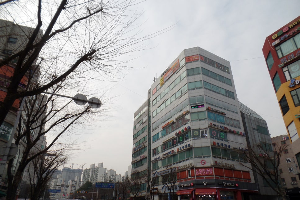 스터디빌리지 이미지