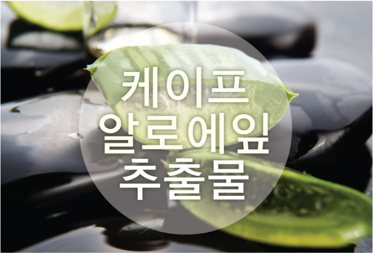 엔젤스킨 이미지