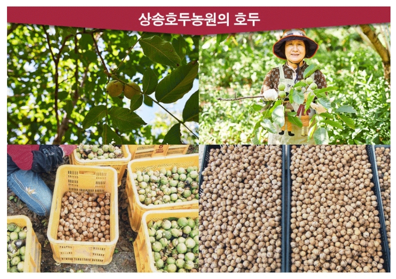 상송농원 이미지